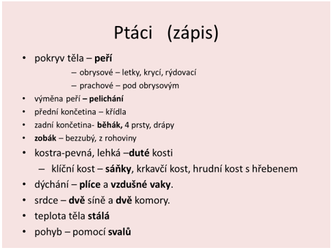 PR7 - Opakování hadi a kontrola DÚ